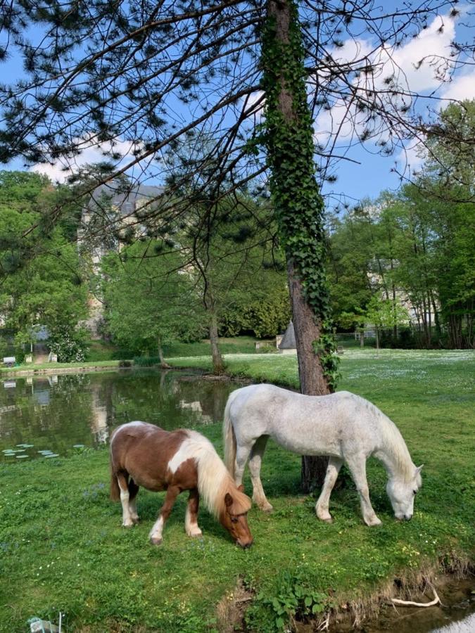 Familial Chateau La Roche Racan